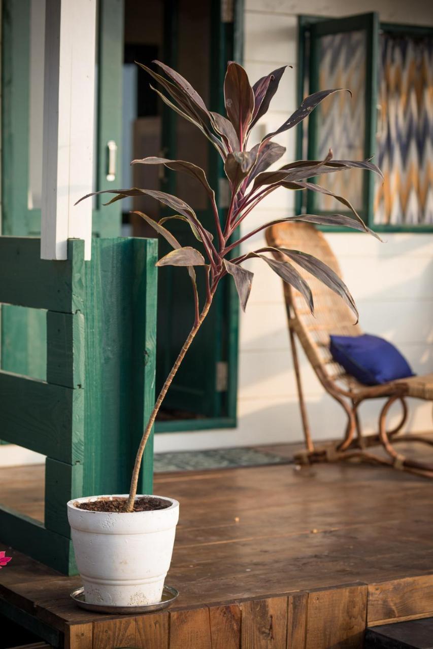 Nest Cottages Canacona Zewnętrze zdjęcie